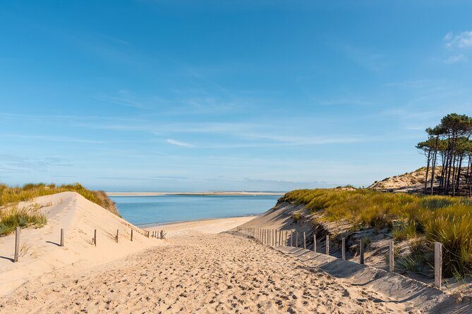 Private Arcachon Full-Day tour, from Bordeaux - Transportation and Overall Value