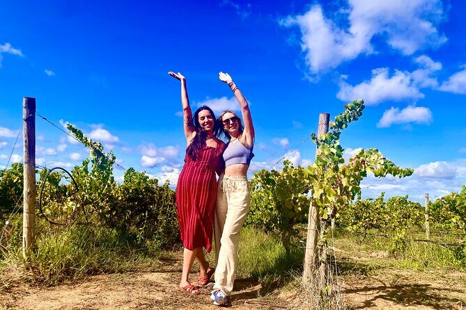 Private Arrábida & Setúbal Wine Tour: All-Inclusive from Lisbon - Scenery and Coastal Views at Arrábida Natural Park