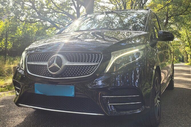 Private Arrival Transfer: Schiphol Airport Amsterdam - Extensive Review of the Experience