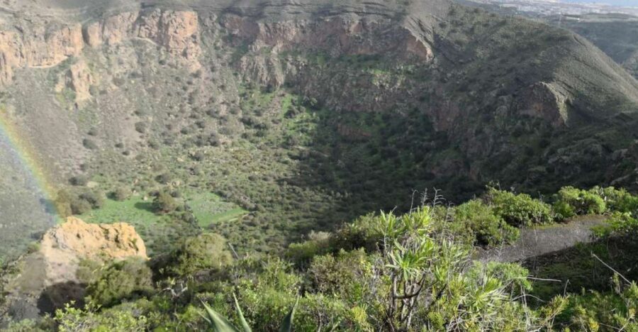 Private Bandama Caldera, Botanic Garden(/Wine*), Old Town - Potential Drawbacks or Considerations