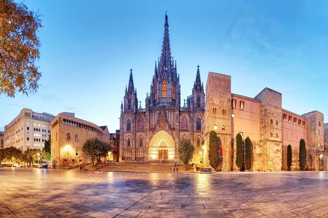 Private Barcelona Walking Tour & Wine Tasting + Tapas Dinner - Sipping Catalonia’s Organic Wines