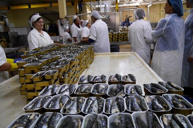 Private Best Fish Experience From Porto - Who Should Book This Tour?