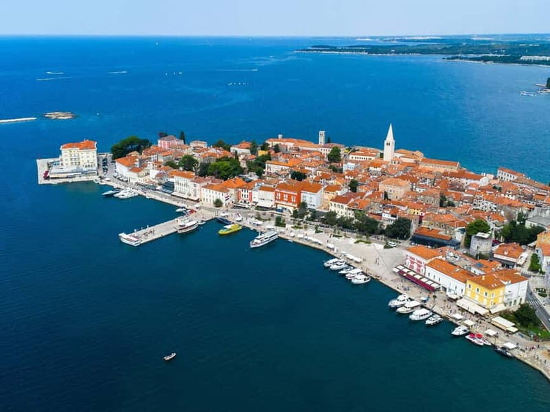 Private boat trips in Porec: dolphin watching, panoramic tour