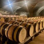 Private Burgundy 4 Domains 20 Chablis Wines tasting from Paris - What Travelers Say: Authentic Experiences and Some Caveats