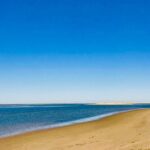 Private Catamaran Boat Tour - Ria Formosa - Frequently Asked Questions (FAQs)