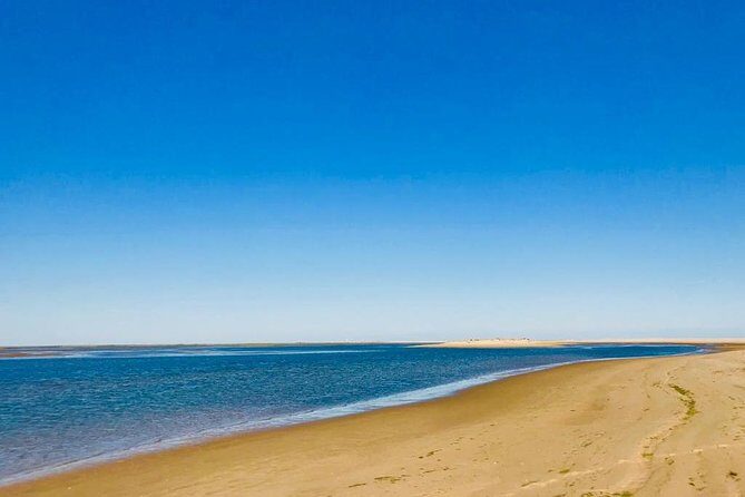 Private Catamaran Boat Tour - Ria Formosa - Frequently Asked Questions (FAQs)
