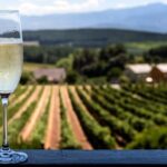 Private Champagne Day Trip to Vineyards of Reims with French Lunch from Paris - The Full Breakdown: What to Expect from This Champagne Adventure