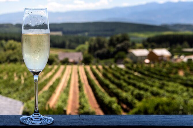 Private Champagne Day Trip to Vineyards of Reims with French Lunch from Paris - The Full Breakdown: What to Expect from This Champagne Adventure