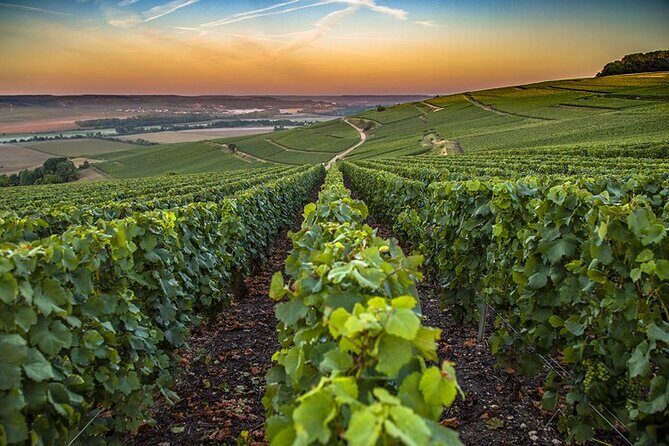 Private Champagne Tour Veuve Clicquot, Moet & Chandon from Reims - Is This Tour Worth the Price?