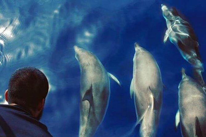 Private Charter in Tenerife south max 7 people - Why Choose This Tour?