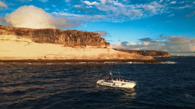 Private Charter Private Charter to see the whales - 2 Hours - Setting Sail: What to Expect on Your Whale Watching Adventure