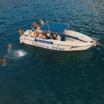 Private Charter Private Charter to see the whales - 3 Hours - Why This Tour Stands Out