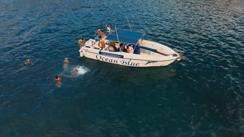 Private Charter Private Charter to see the whales - 3 Hours - Why This Tour Stands Out