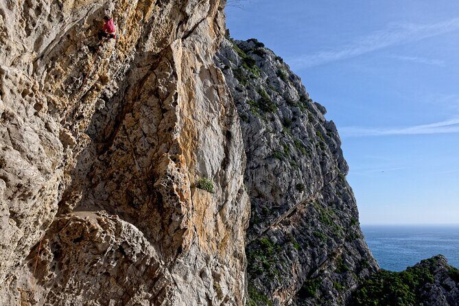 Private Climbing on the Cliffs of Arrábida Natural Park - Real Traveler Insights