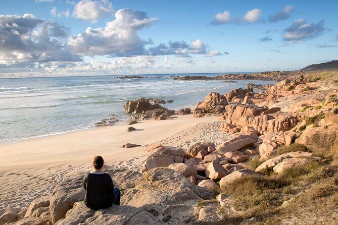 Private Costa de la Muerte and Cabo Finisterre Tour - What Makes This Tour Stand Out?