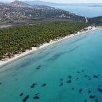 Private Cruise & Snorkeling Nea Makri, Marathon, Schinias, Rafina - Why This Tour Is a Great Deal