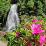 Private Custom Tour in São Miguel Island - An In-Depth Look at the Itinerary