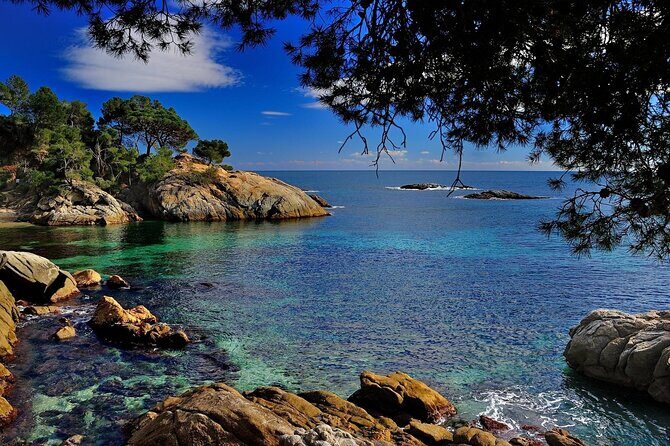 Private Dali Museum and Costa Brava Tour from Barcelona - Analyzing the Value and Practicalities