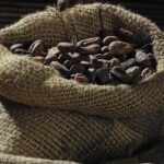Private Dark Chocolate Tasting Tour in Paris - FAQ