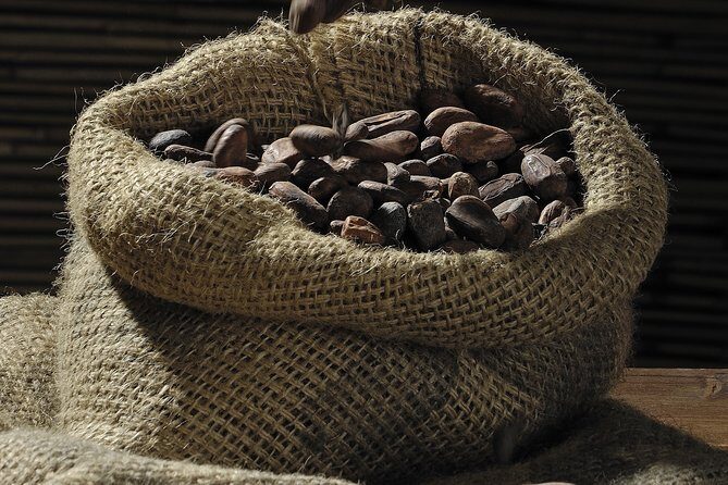 Private Dark Chocolate Tasting Tour in Paris - FAQ