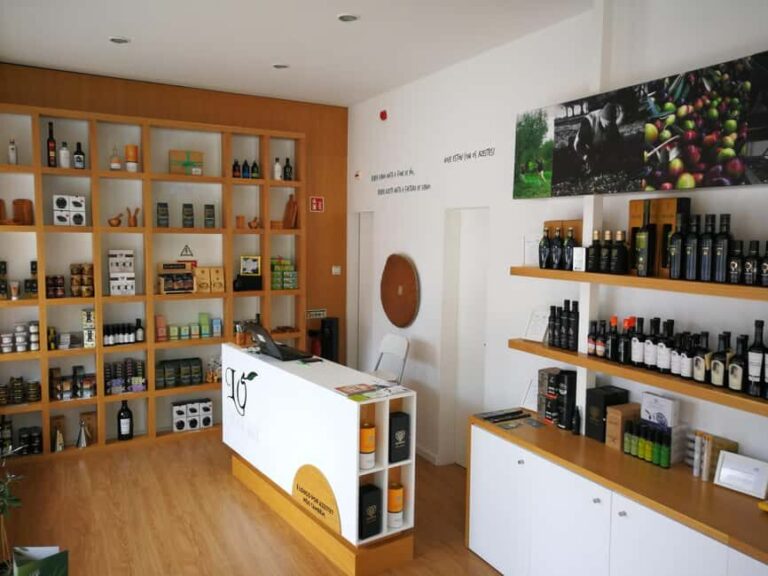 Private day tour of Olive Oil , Salt Flats and Winery - Who Should Consider This Tour?