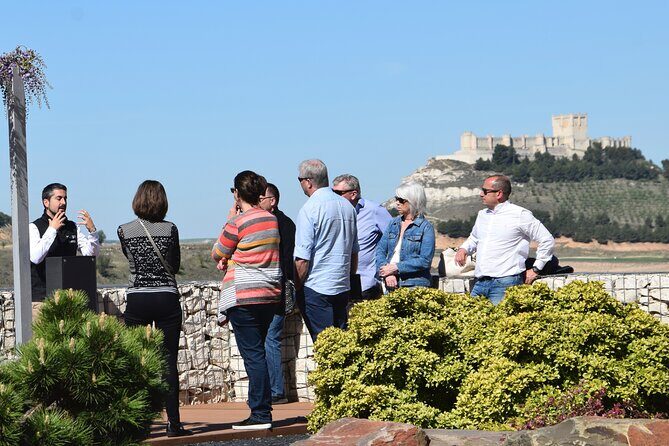 Private day tour Ribera del Duero - Deep Dive into the Wineries and Tastings