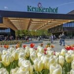 Private Day Tour to Keukenhof Gardens - from Amsterdam/Rotterdam - Guides and Personalization