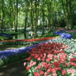 Private Day Trip from Amsterdam to Keukenhof with Entrance Tickets - FAQs