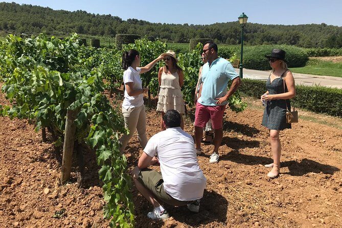 Private Day Trip from Barcelona to Montserrat - Who Would Love This Tour?
