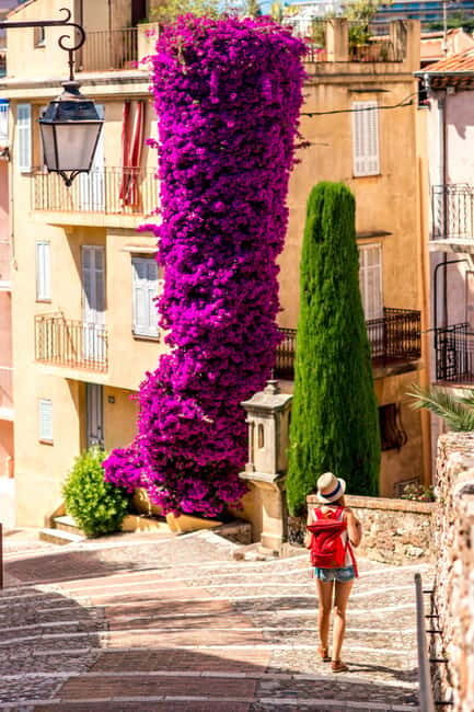 Private day trip from Monaco to the gems of French Riviera - Why This Tour Offers Great Value
