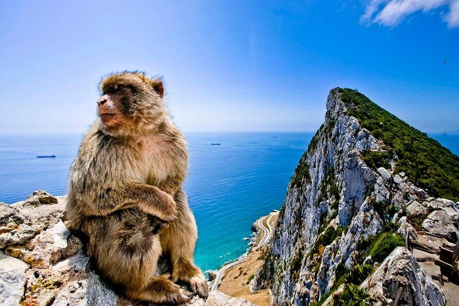 *Private Day Trip* Gibraltar & Bolonia from Cádiz - The Experience in Perspective