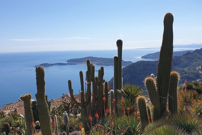 Private Day Trip Italian Riviera - Who Should Consider This Tour?