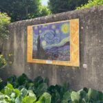 Private Day Trip to Arles Les Baux de Provence and Saint Remy de Provence - Who Should Consider This Tour?