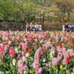 Private Day Trip to Keukenhof Gardens with Entrance Tickets - Analyzing the Value