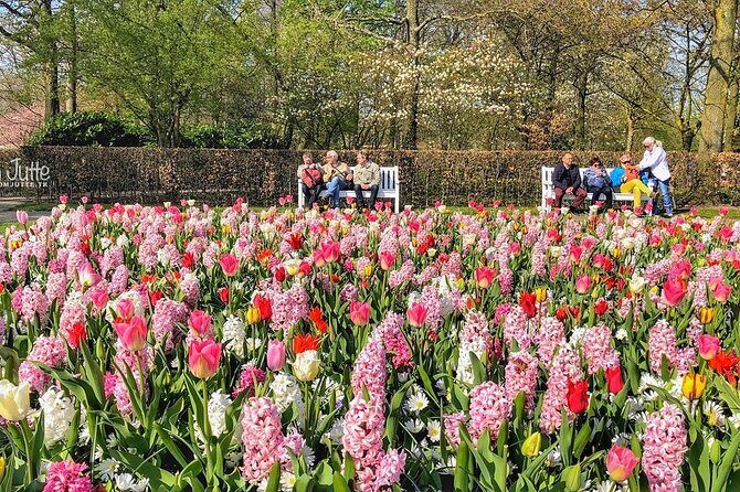 Private Day Trip to Keukenhof Gardens with Entrance Tickets - Analyzing the Value