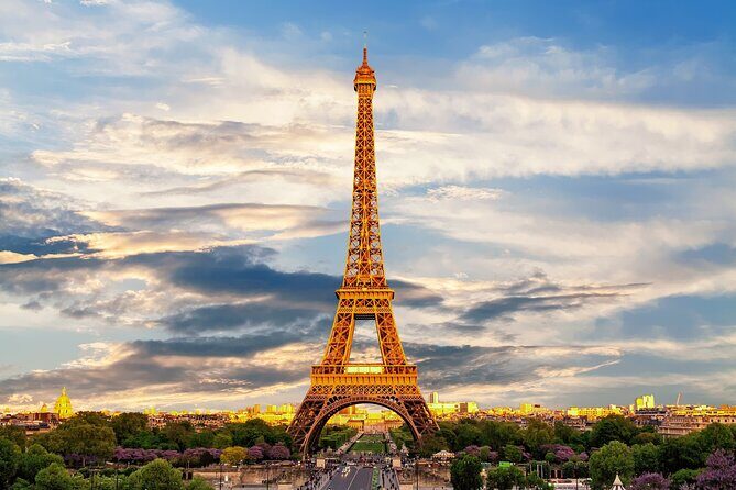 Private Direct Transfer From Reims to Paris - Detailed Review of the Reims-to-Paris Private Transfer Experience