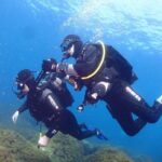 Private diving baptism in the Golf of Calvi - In-Depth Review of the Private Diving Baptism in Corsica’s Golf of Calvi