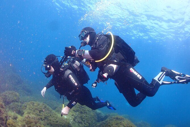Private diving baptism in the Golf of Calvi - In-Depth Review of the Private Diving Baptism in Corsica’s Golf of Calvi