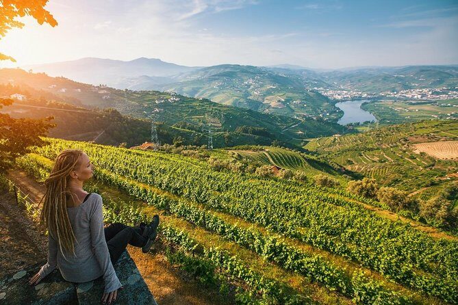 Private Douro Valley Wine Tour: 2 Wine Estates, Lunch and Cruise - What Makes This Tour Stand Out
