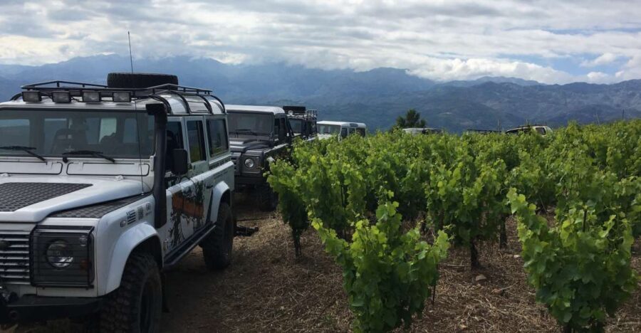 Private Exclusive Manousakis Winery and Vineyard Tour - The Journey Begins: From Chania to Vatolakos