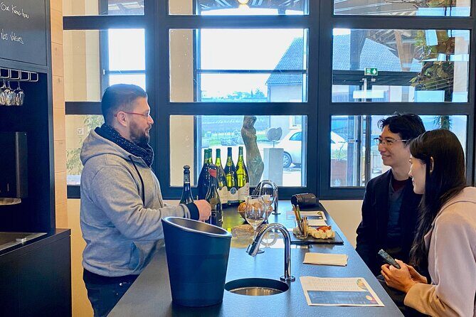 Private Exquisite Red & White Burgundy Wines Trip from Paris - An In-Depth Look at the Burgundy Wines Day Trip