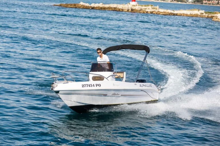 Private Family Dolphin Tour in Pore - What to Expect During Your Dolphin Tour