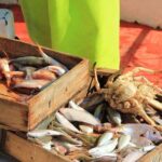 Private Fishing Tour From Athens With A Traditional Fishing Boat - Who Would Love This Tour?