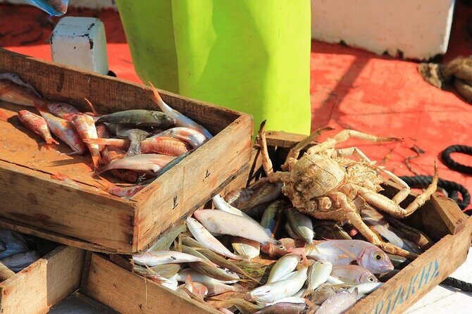 Private Fishing Tour From Athens With A Traditional Fishing Boat - Who Would Love This Tour?