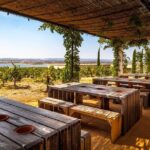 Private Full-Day Alentejo Wine Tour - A Deep Dive into the Experience