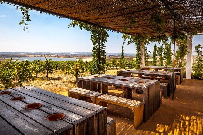 Private Full-Day Alentejo Wine Tour - A Deep Dive into the Experience
