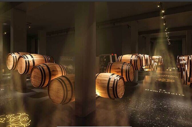 Private full-day Champagne Cellars tour from your hotel in Paris - Authentic Experiences and Practical Details