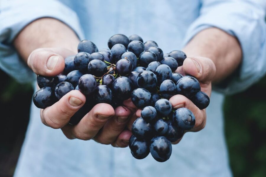 Private Full Day Évora, Monsaraz, and Winery Day Trip - Exploring the Full-Day Experience: What You’ll See and Do