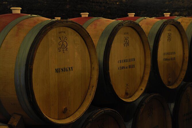 Private Full Day Tour Burgundy Gourmet - Exploring Burgundy’s Food & Wine: An In-Depth Review