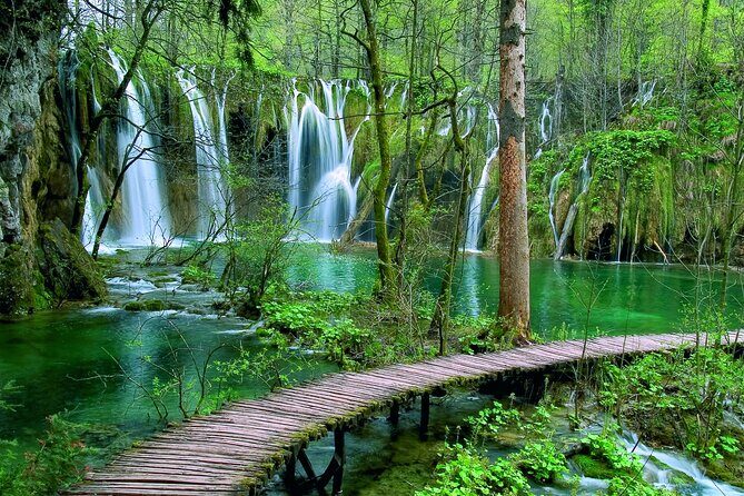 Private Full-Day Tour in Plitvice Lakes National Park from Zadar - The Value of Guided, Private Experience